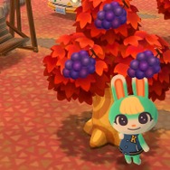 『あつ森』新住人「ミッチェル」は男の子だった！ぼんやり系のボクっ子、口癖は「くりりん」