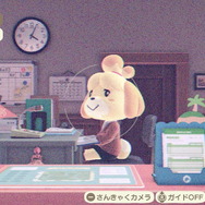 『あつ森』アプデでこっそりと「カメラ機能」がパワーアップ！爆笑必至の「魚眼レンズ」などを追加