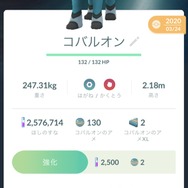 「デデンネ」でスーパーリーグの環境激変！？ 「やつあたり」変更も重要な「光のフェスティバル」やることまとめ【ポケモンGO 秋田局】