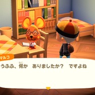 『あつまれ どうぶつの森』一番の推しキャラは誰？ Ver2.0で盛り上がる今、アナタの声を募集！【読者アンケート】