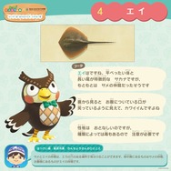 『あつ森』リアルイベントが仙台で開催決定！80種以上のサカナや海の幸を展示、会場のどこかにジョニーも漂着