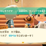 『あつ森』カブで儲けたい人必見！ 大型アプデ後、ベル稼ぎする方法＆人の島へ行くときのNG行為
