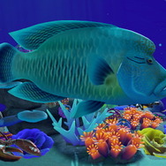 『あつまれ どうぶつの森』