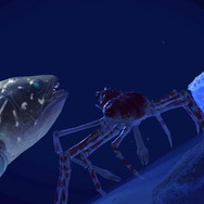 『あつまれ どうぶつの森』