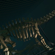 『あつまれ どうぶつの森』