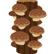 ゲームの国民的ザコキャラといえば？  1面のアイツ？ 水色のヤツ？【アンケート募集】