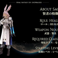 『FF14 暁月のフィナーレ』メインストーリーは既存ジョブで行く？それとも新ジョブ育ててから？【読者アンケ】