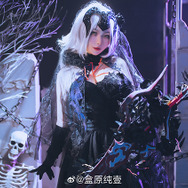ジャンヌ・ダルク〔オルタ〕『Fate/Grand Order』/モデル:盒盒
