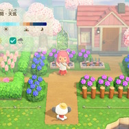 『あつまれ どうぶつの森 ハッピーホームパラダイス』