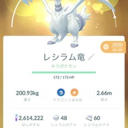 色違いゼクロム&レシラムは間違いなくガチるべき！現時点でも最強クラス、将来はもっと強くなるかも【ポケモンGO 秋田局】