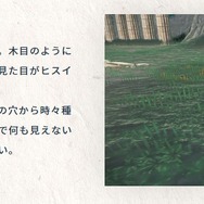 ビリリダマは人類を恨んでいる…『ポケモンレジェンズ アルセウス』“ヒスイのすがた”を巡る様々な考察！