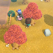 長女が怒り狂い続けるのも、無理はありません。