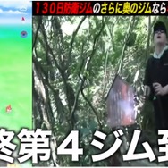 過酷な山奥に放置されたポケモンは、半年間ジム防衛できるのか？片道2時間登山して、検証してみた【ポケモンGO 秋田局】