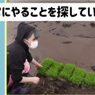 『ウマ娘』トウカイテイオーの「中の人」は農業ガールだった!?声優・Machicoの意外な特技とは…