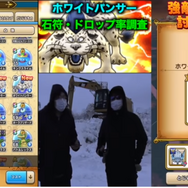 強敵「ホワイトパンサー」は後回し？優先すべきは「ドラゴンライダー」だ【ドラクエウォーク 秋田局】