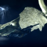 『モンスターハンター3(トライ)』村で頻発していた地震の元凶「ナバルデウス」