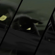 『ポケモン アルセウス』あなたが選んだ御三家は？モクロー、ミジュマル、ヒノアラシ、それぞれの魅力が光る