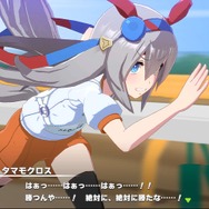 「今年推したいウマ娘」ベスト10を発表─人気投票常連の「ライスシャワー」に「タマモクロス」が挑む！ 果たして第1位は…【アンケ結果発表】