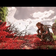 【ネタバレなし】『Horizon Forbidden West』PS5版先行プレイインプレッションー世界への説得力と尊敬に満ちた、ウェルメイドなオープンワールド