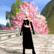 Copyright (C) 2006 C&C Media Co.,Ltd. All Rights Reserved. (C) 北京完美時空網絡技術有限公司 2005 ALL RIGHTS RESERVED.