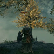 『ELDEN RING』フロムゲー初心者に、序盤の心得を贈りたい! あなたの旅路を助ける4つのポイント