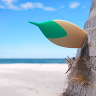 『ポケモン GO』に「アローラ地方のポケモン」が登場決定！ニャビー、モクロー、アシマリと出会えるかも