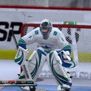 NHL 2K10