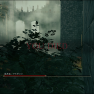 “死にゲー”『ELDEN RING』と育児は両立できるのか！？ 褪せ人「エルデンママ」のリアルな一週間