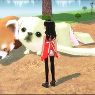 Developed by devCat Copyright (c) Nexon Corporation and Nexon Japan Co.,Ltd. All rights reserved.