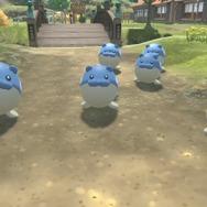 タマザラシ推しのトレーナーが急増中！？2022年は空前のタマザラシブームがやってくる予感…！