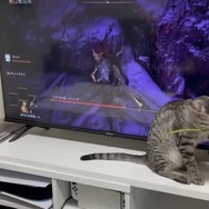 『ELDEN RING』話題記事まとめ―裸族の儀式や可愛すぎる子猫、子育てとの両立を目指す「エルデンママ」まで集結