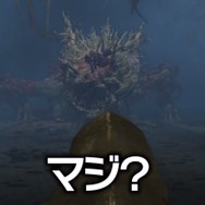 『ELDEN RING』話題記事まとめ―裸族の儀式や可愛すぎる子猫、子育てとの両立を目指す「エルデンママ」まで集結