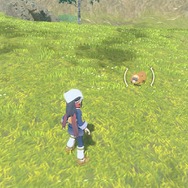 『ポケモン スカーレット・バイオレット』では「アルセウス式」が引き継がれる？エンカウントの仕組みは…