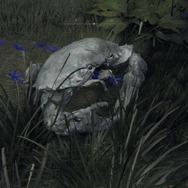 『ELDEN RING』は海鮮物だらけ！食って食われて強くなる、狭間の地・海の幸コレクション