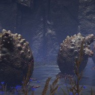 『ELDEN RING』は海鮮物だらけ！食って食われて強くなる、狭間の地・海の幸コレクション