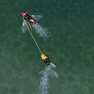 グランド・セフト・オート:チャイナタウン・ウォーズ