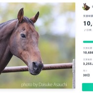 元競走馬「ナイスネイチャ」誕生日記念寄付が今年も幕開け! 開始から半日経たずに1,000万円越え─『ウマ娘』人気にも言及