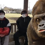 色違い「チェリンボ」と「ヤレユータン」は最優先！5日間限りの「サステナビリティウィーク」注目ポイント【ポケモンGO 秋田局】