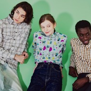 柄のアップは、次の画像に。