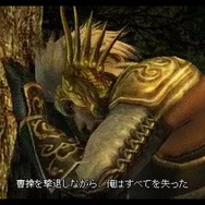 真・三國無双5 Special