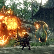 『モンハンライズ：サンブレイク』には新しい環境生物も登場！衝撃で爆発する甲虫に、モンスターすら怯ませる両生種まで
