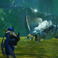 『モンハンライズ：サンブレイク』には新しい環境生物も登場！衝撃で爆発する甲虫に、モンスターすら怯ませる両生種まで