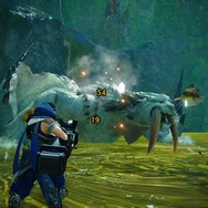 『モンハンライズ：サンブレイク』には新しい環境生物も登場！衝撃で爆発する甲虫に、モンスターすら怯ませる両生種まで