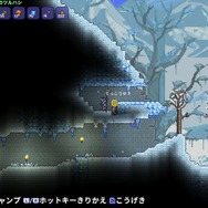 スイッチで『テラリア』が期間限定の遊び放題に！次回「いっせいトライアル」5月30日より開催決定