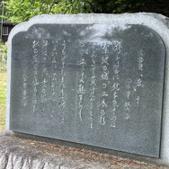 郷土史から始める『太閤立志伝V DX』の遊び方―地元を調べて世界観をより深めよう【特集】