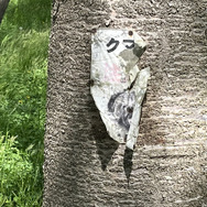 郷土史から始める『太閤立志伝V DX』の遊び方―地元を調べて世界観をより深めよう【特集】