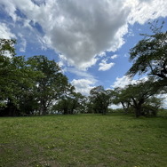 郷土史から始める『太閤立志伝V DX』の遊び方―地元を調べて世界観をより深めよう【特集】