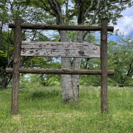 郷土史から始める『太閤立志伝V DX』の遊び方―地元を調べて世界観をより深めよう【特集】