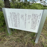 郷土史から始める『太閤立志伝V DX』の遊び方―地元を調べて世界観をより深めよう【特集】