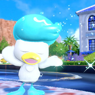 『ポケモンSV』クワッスの特徴から導き出される進化予想…“イケメン水上コック”を連想するファンも！？